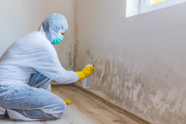 Hvac And Air Duct Mold Remediation inspection of HVAC system in Shrewsbury