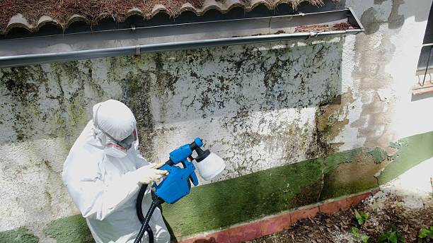 Mold Remediation service in Shrewsbury, Shrewsbury, PA